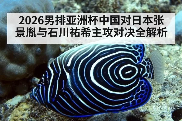 2026男排亚洲杯中国对日本张景胤与石川祐希主攻对决全解析